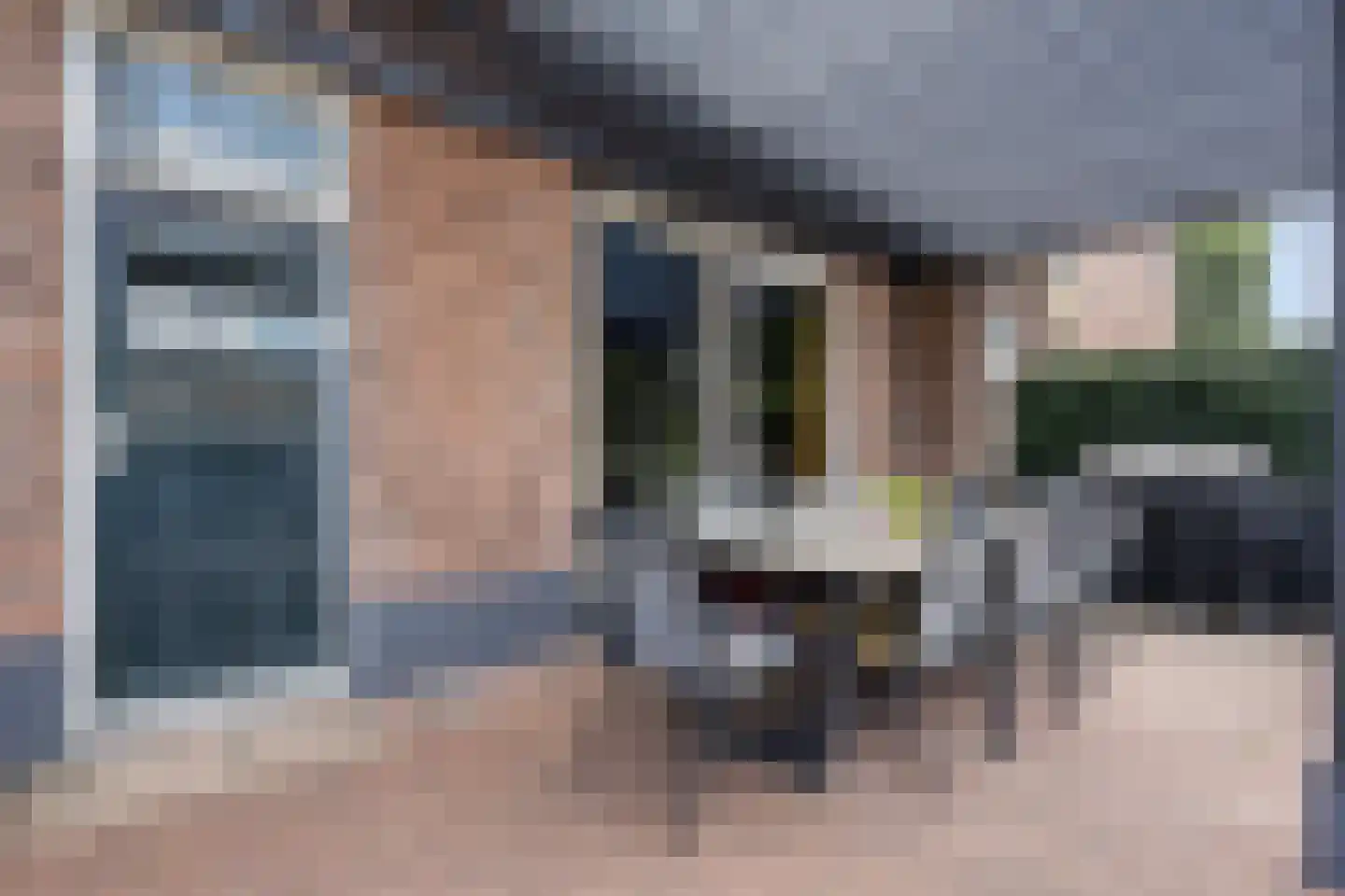 Rheezerend 48 Dedemsvaart thumbnail 50