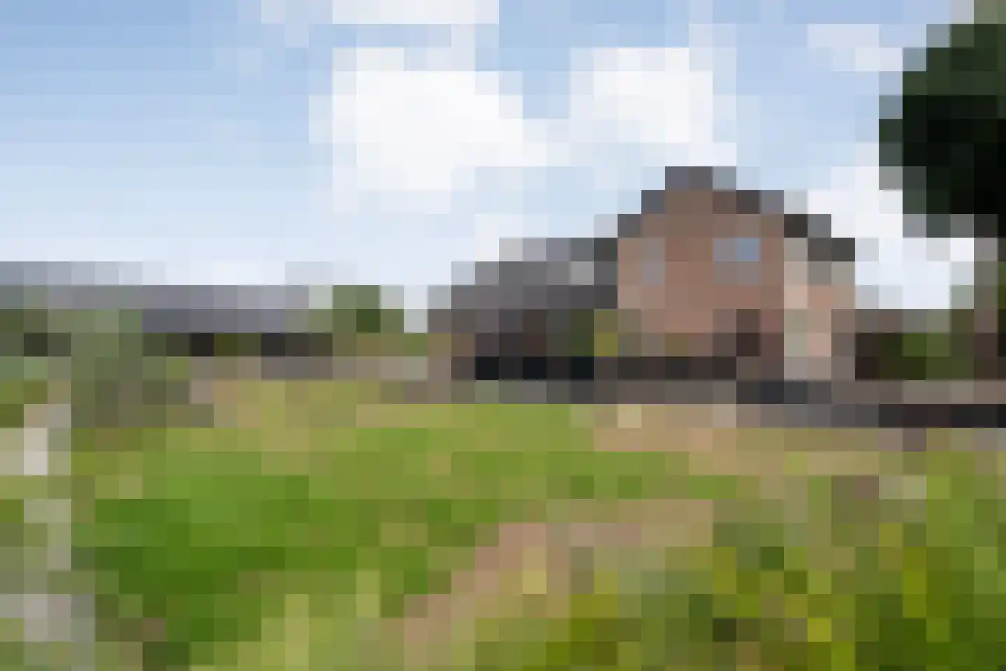 Rheezerend 48 Dedemsvaart thumbnail 53