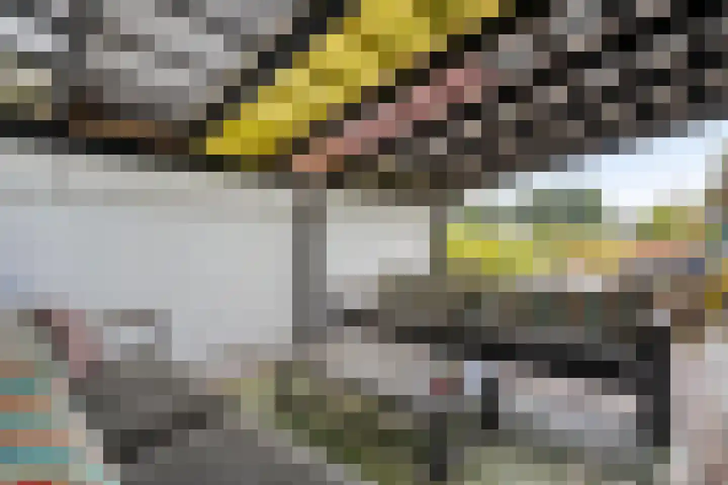 Rheezerend 48 Dedemsvaart thumbnail 56