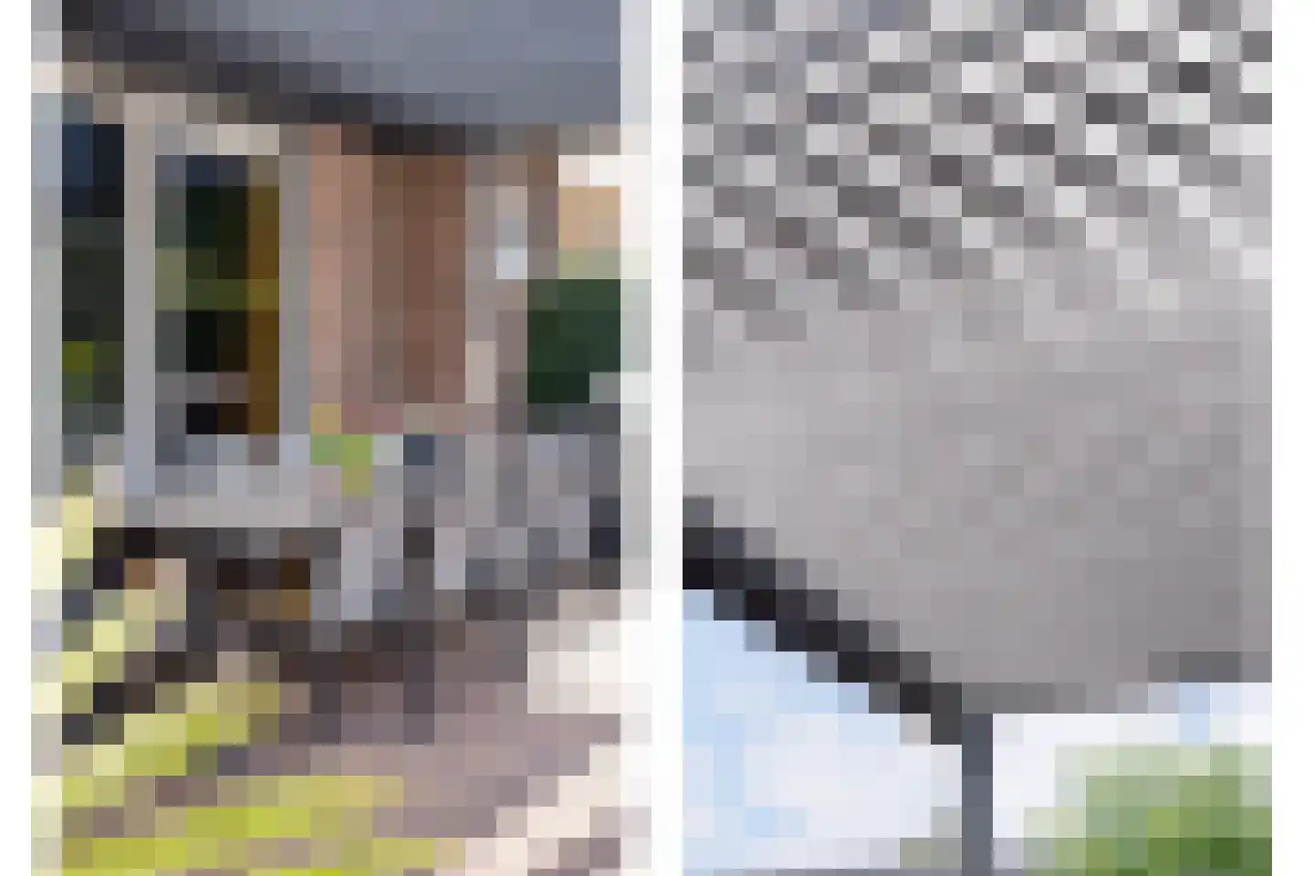 Rheezerend 48 Dedemsvaart thumbnail 57