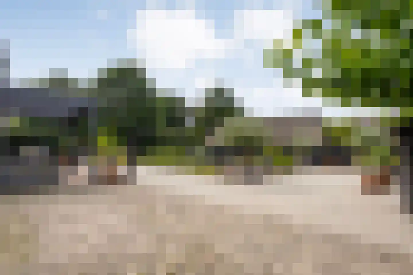 Rheezerend 48 Dedemsvaart thumbnail 61