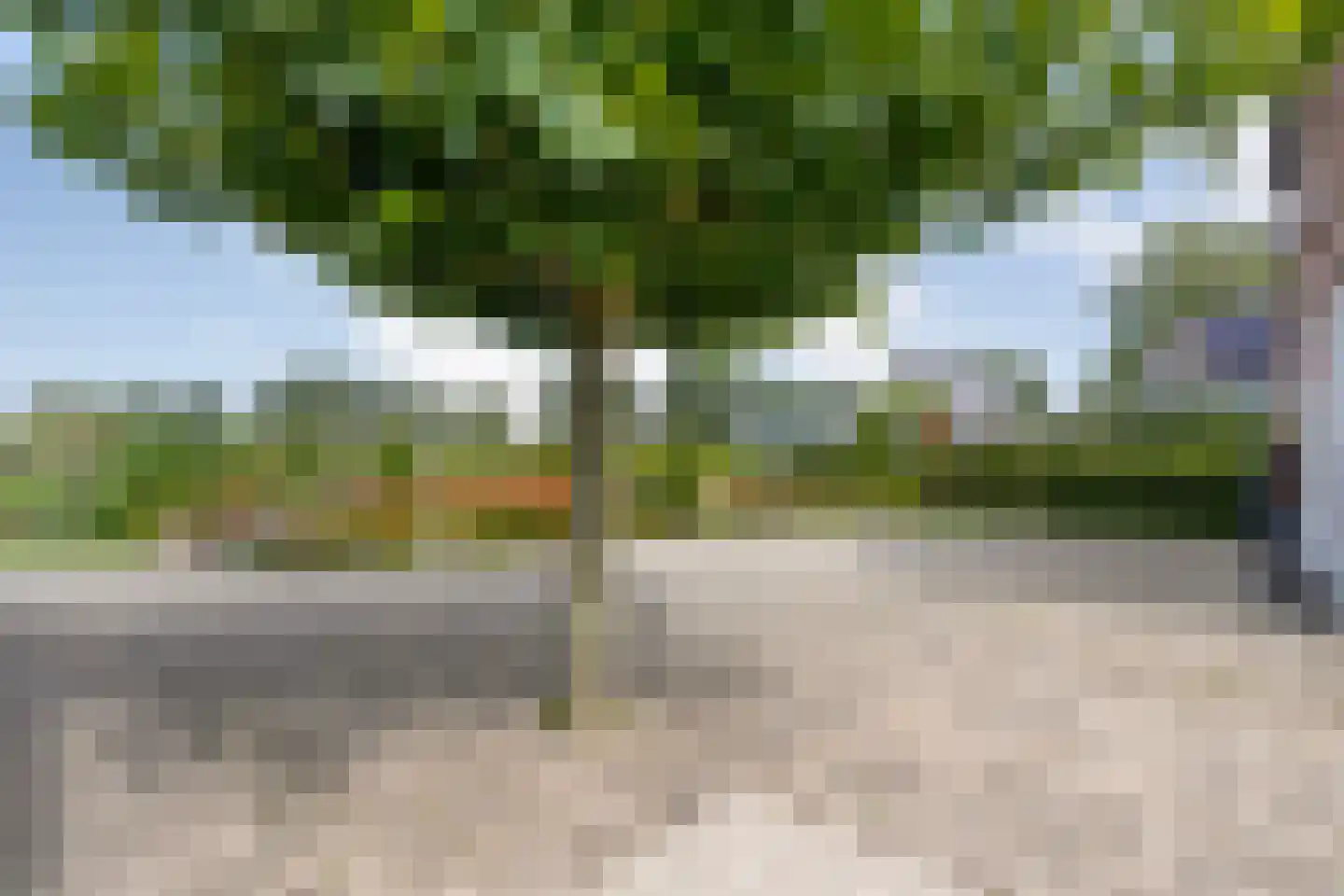 Rheezerend 48 Dedemsvaart thumbnail 62