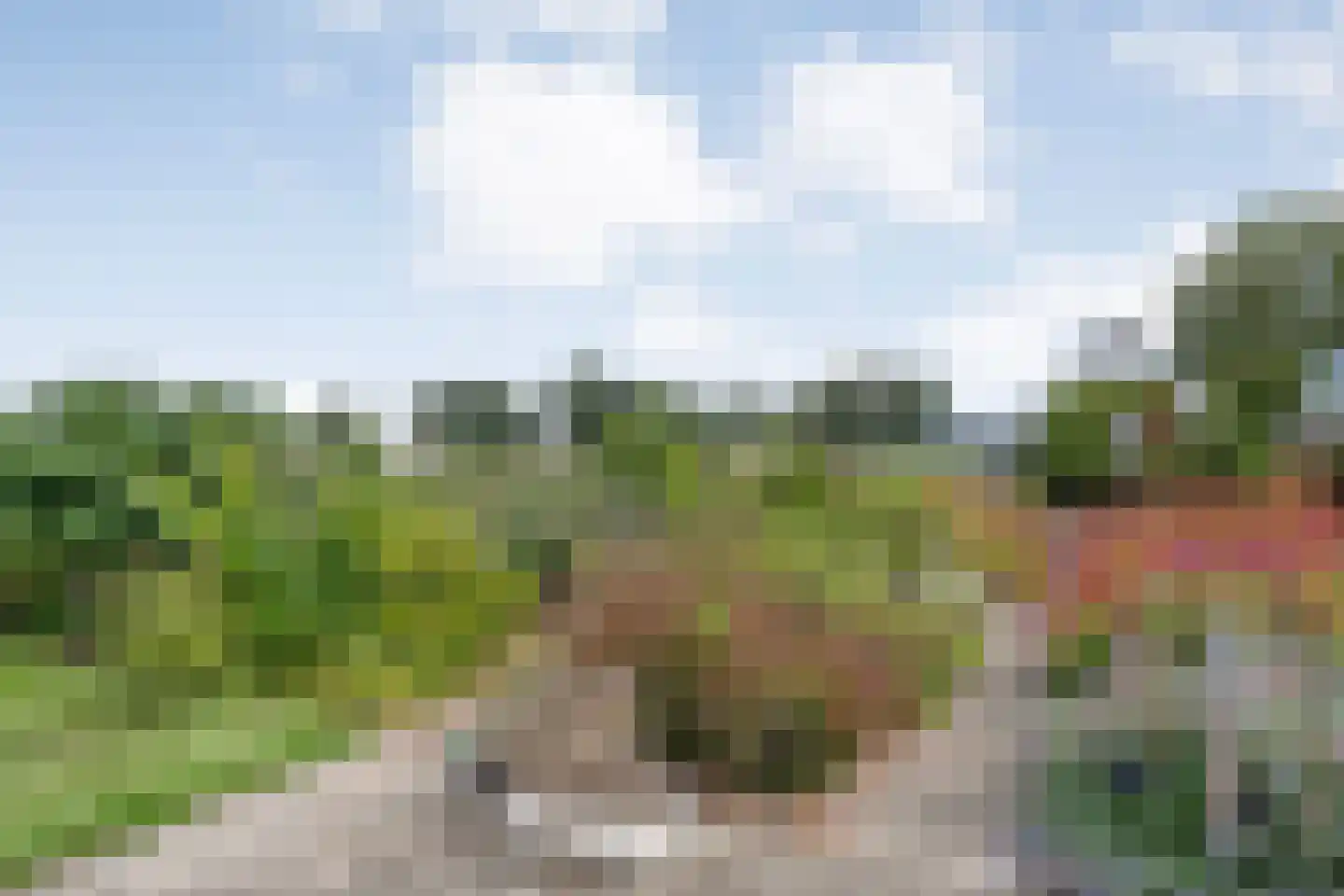 Rheezerend 48 Dedemsvaart thumbnail 65
