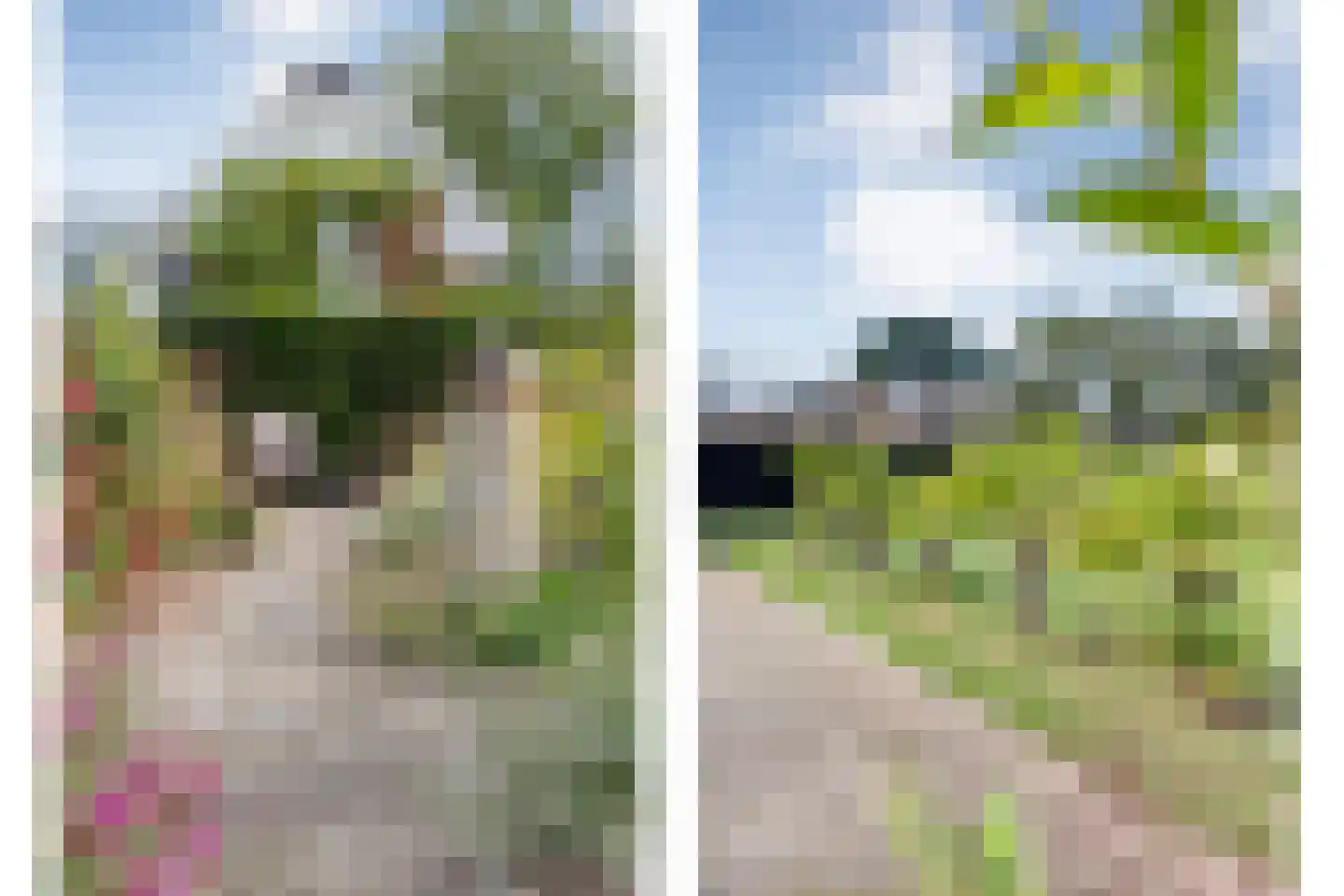 Rheezerend 48 Dedemsvaart thumbnail 66
