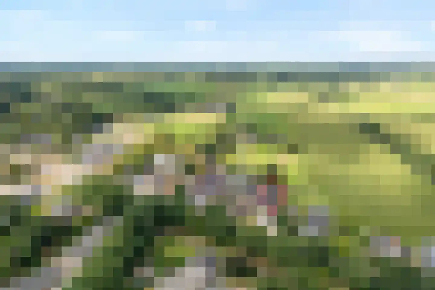 Rheezerend 48 Dedemsvaart thumbnail 69