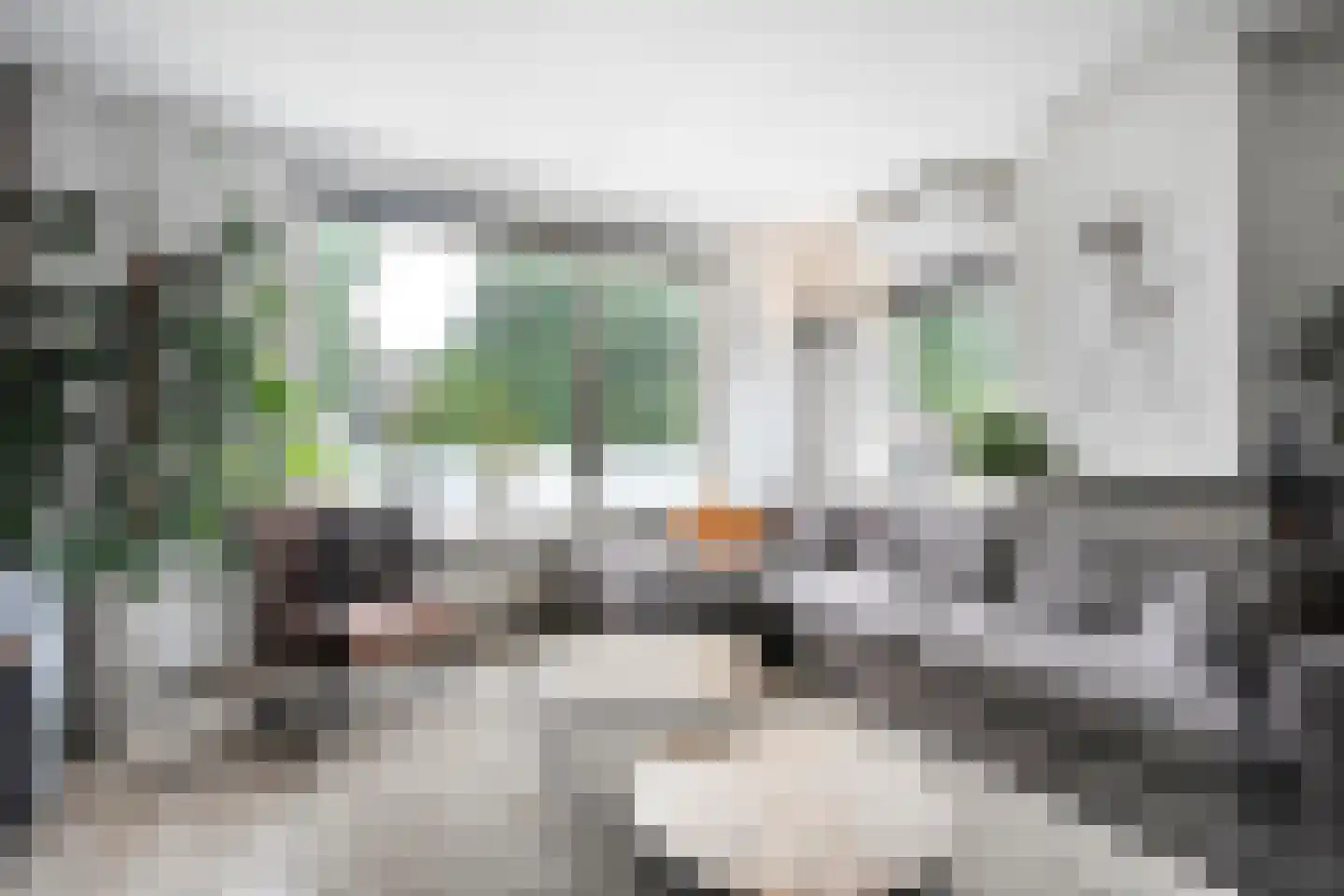 Rheezerend 48 Dedemsvaart thumbnail 7