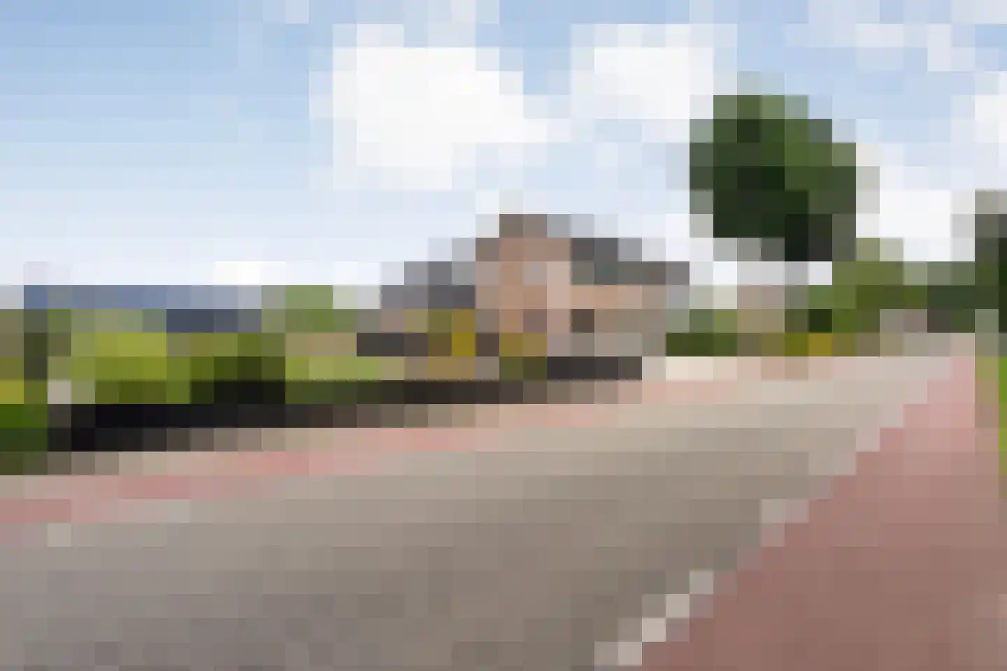 Rheezerend 48 Dedemsvaart thumbnail 70