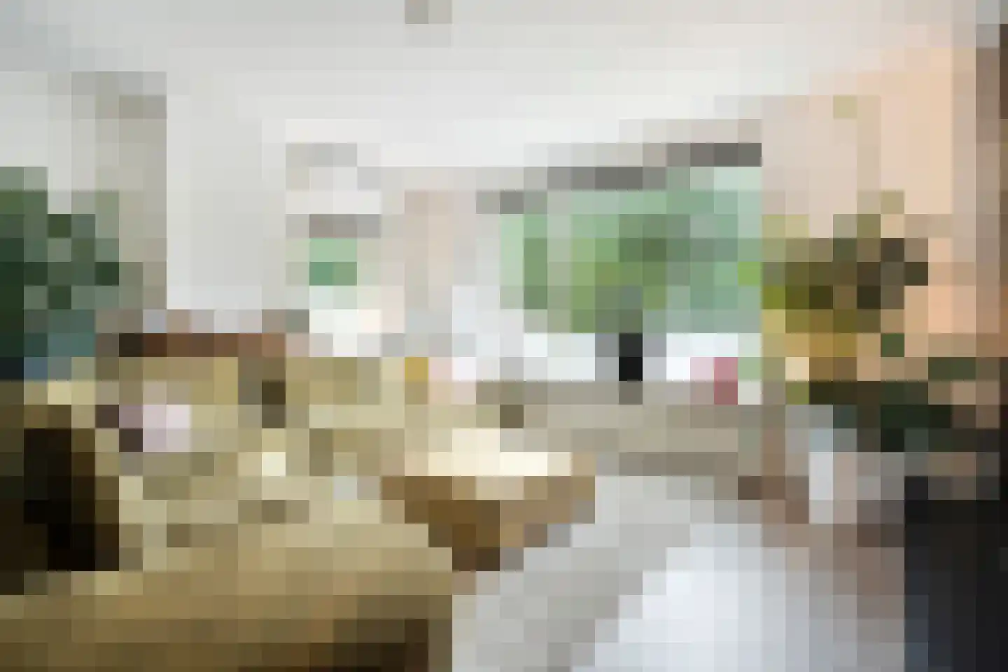 Rheezerend 48 Dedemsvaart thumbnail 9