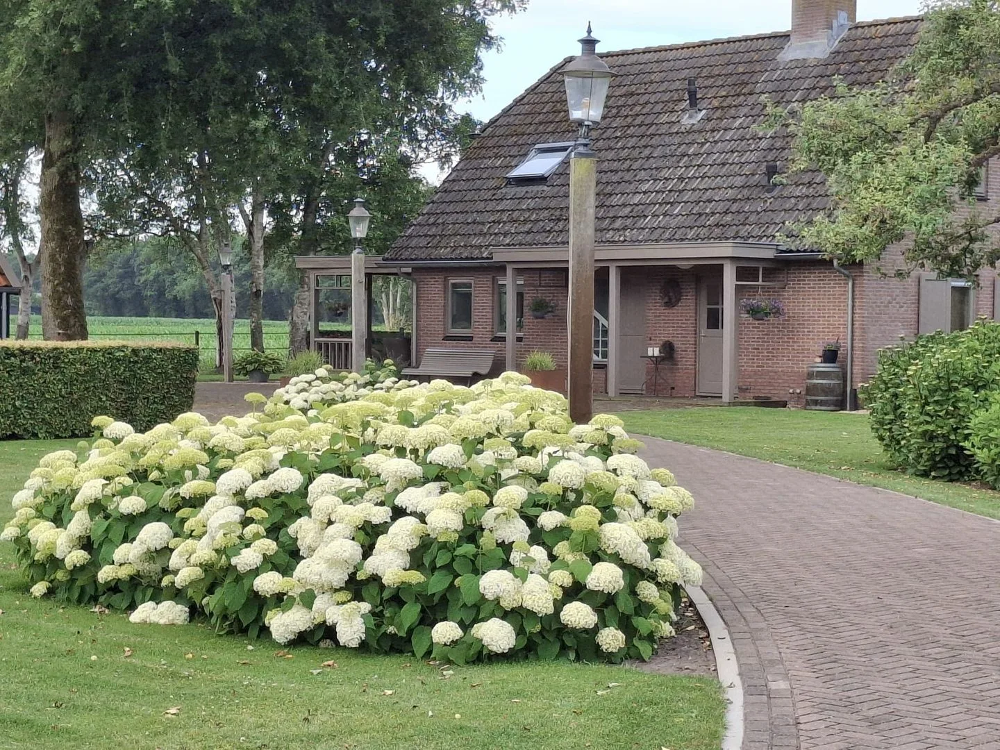 Rheezerveenseweg 10 Heemserveen thumbnail 95