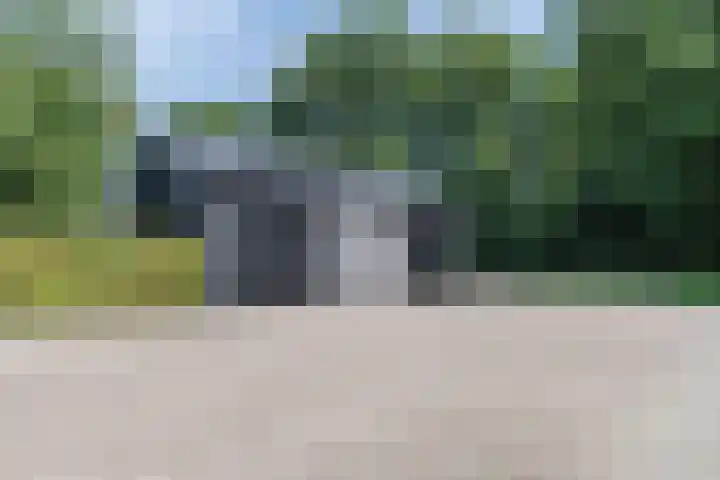 Rheezerveenseweg 14 Rheezerveen thumbnail 45