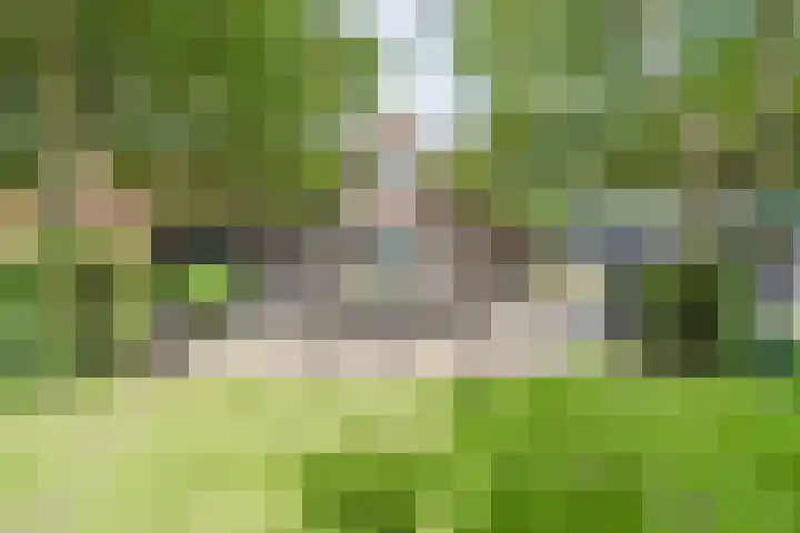 Rheezerveenseweg 14 Rheezerveen thumbnail 6
