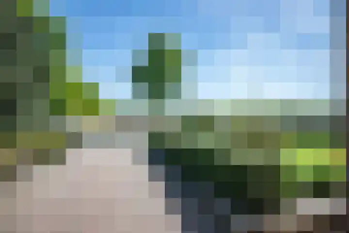 Rheezerveenseweg 33 Rheezerveen thumbnail 7