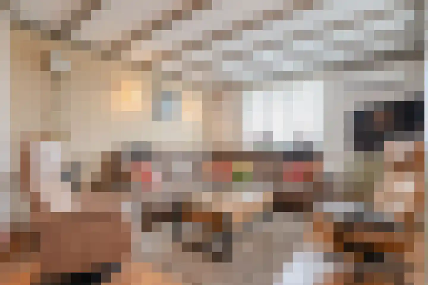 Rheezerweg 129 Diffelen thumbnail 16