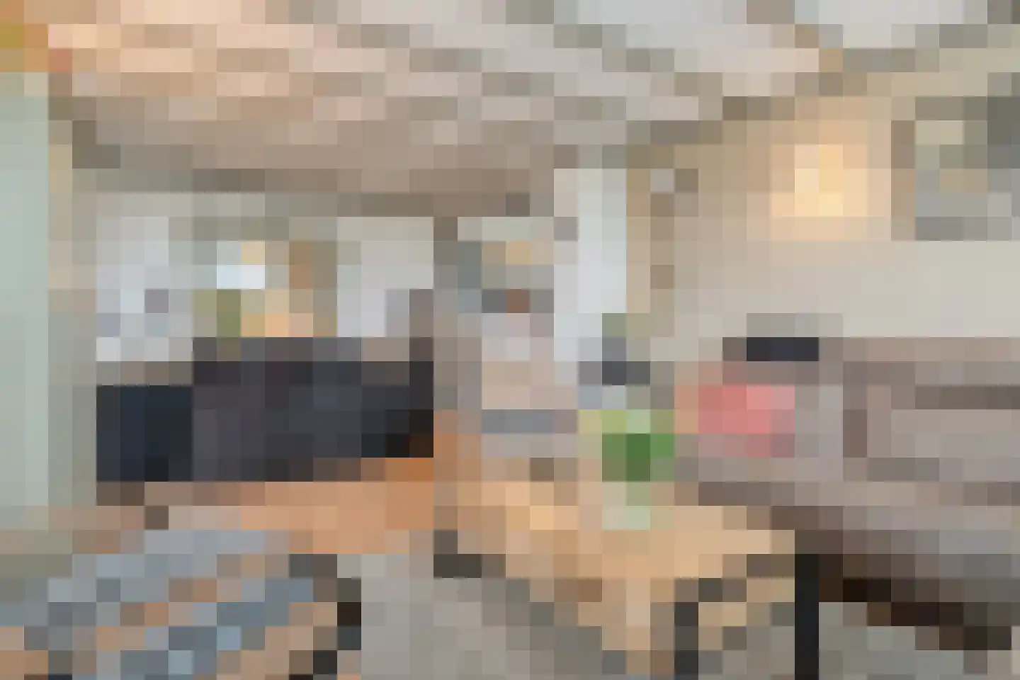Rheezerweg 129 Diffelen thumbnail 19