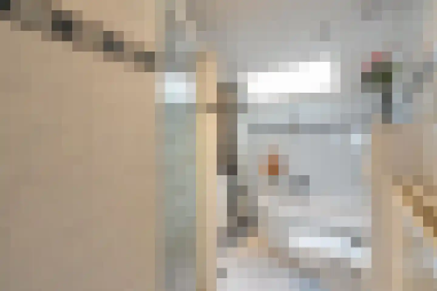 Rheezerweg 129 Diffelen thumbnail 34