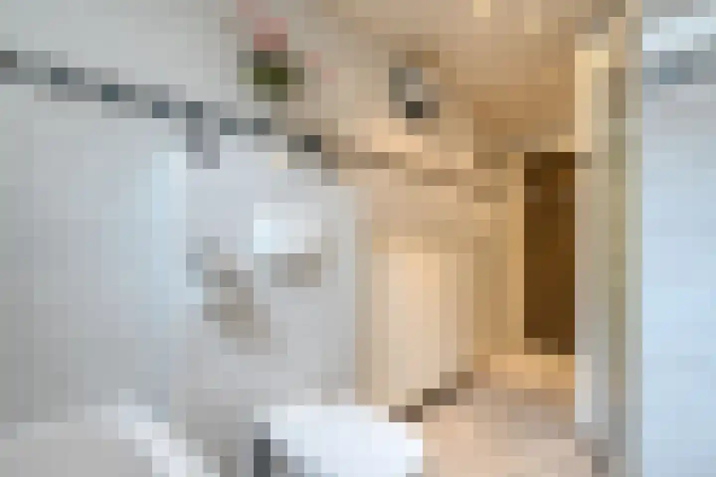 Rheezerweg 129 Diffelen thumbnail 36