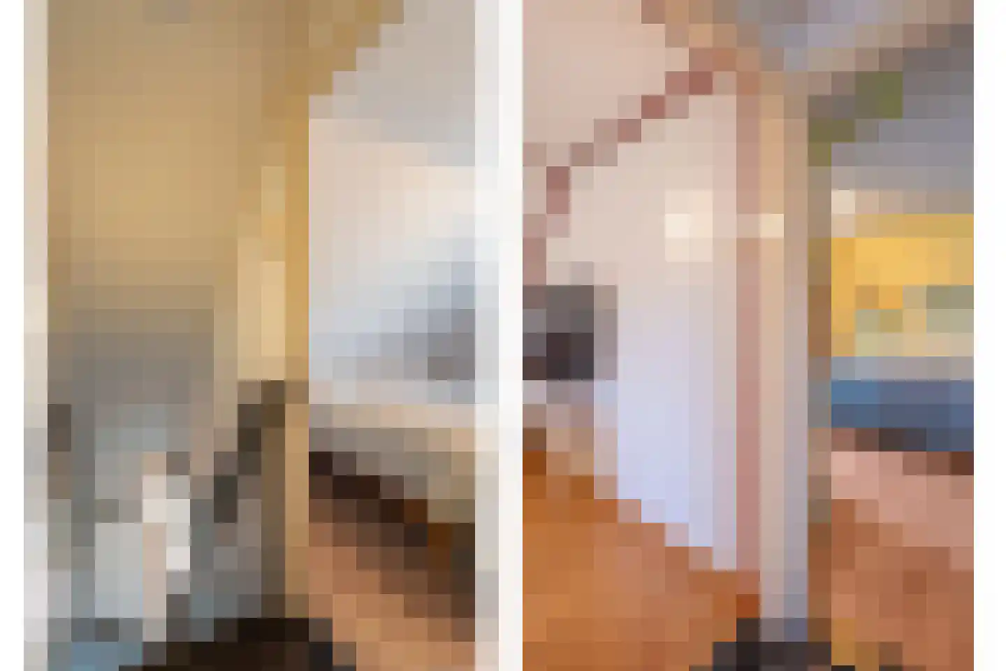 Rheezerweg 129 Diffelen thumbnail 38