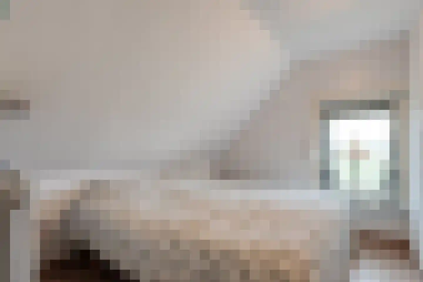 Rheezerweg 129 Diffelen thumbnail 39