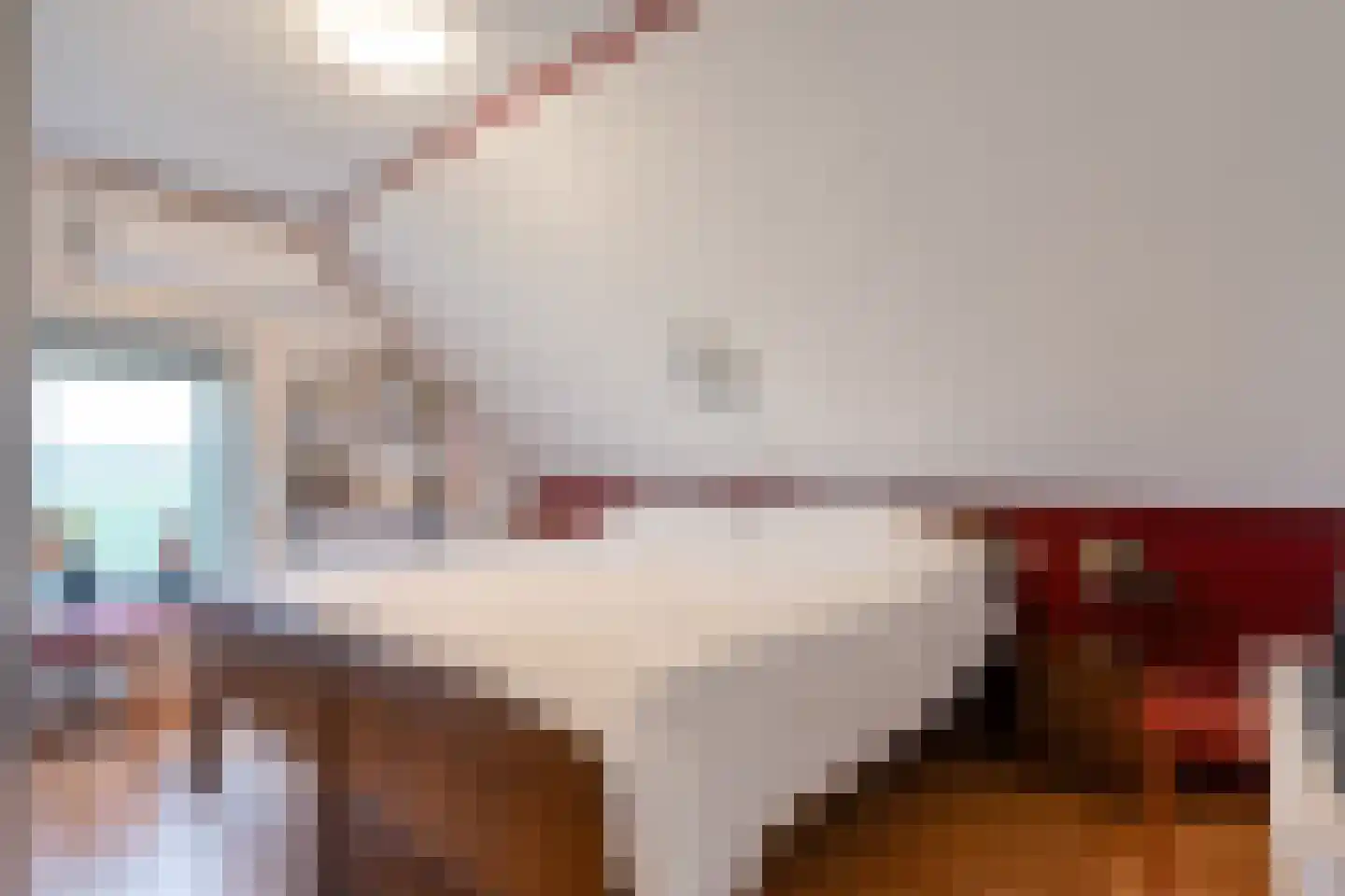 Rheezerweg 129 Diffelen thumbnail 41