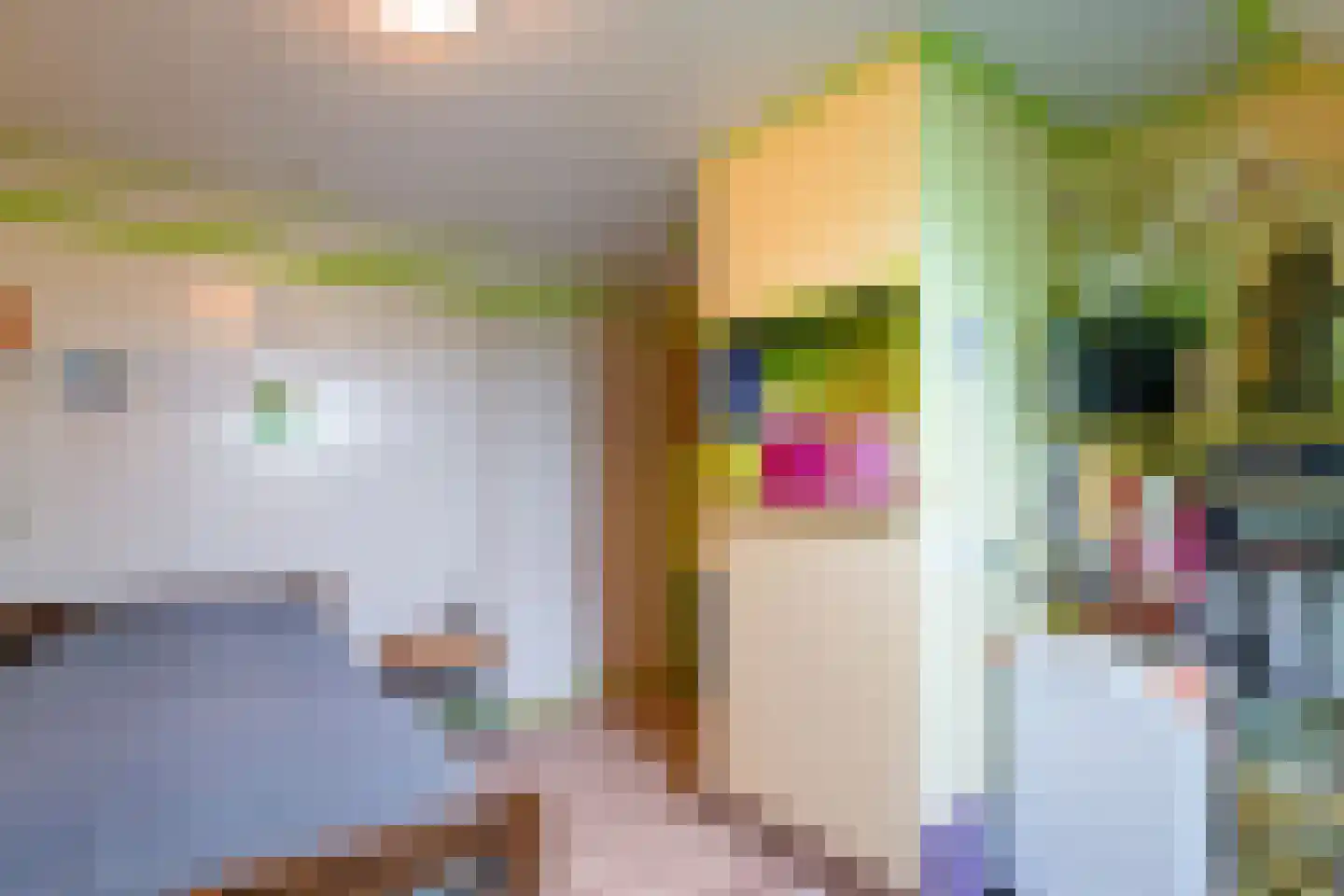 Rheezerweg 129 Diffelen thumbnail 44