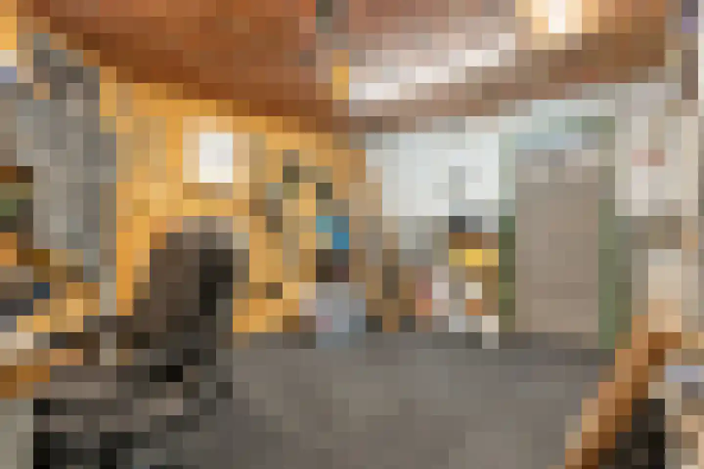Rheezerweg 129 Diffelen thumbnail 46
