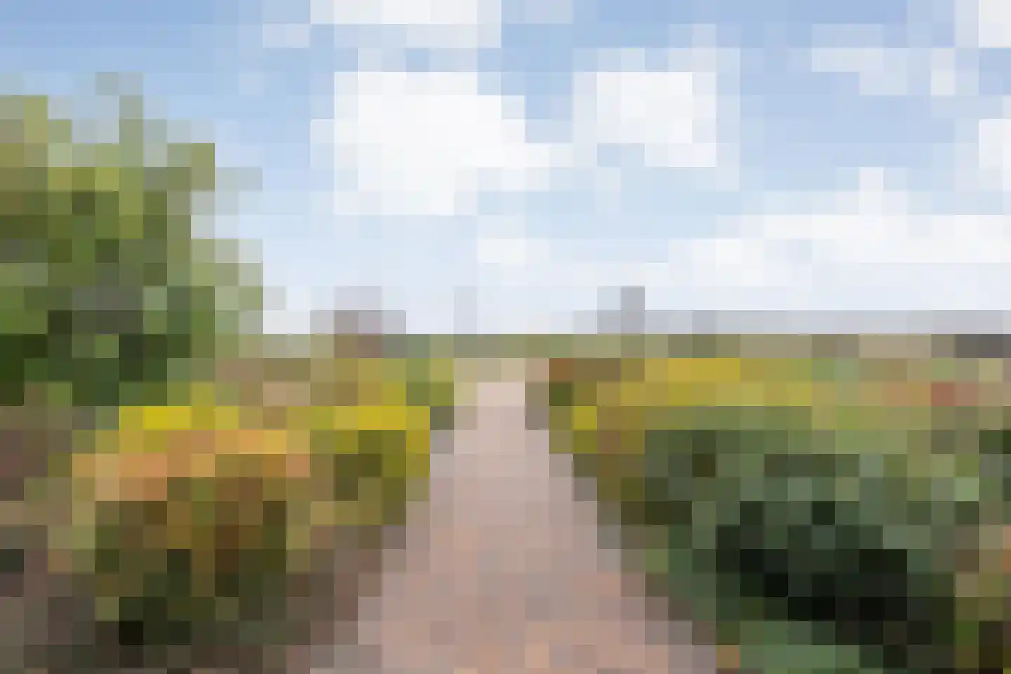 Rheezerweg 129 Diffelen thumbnail 8