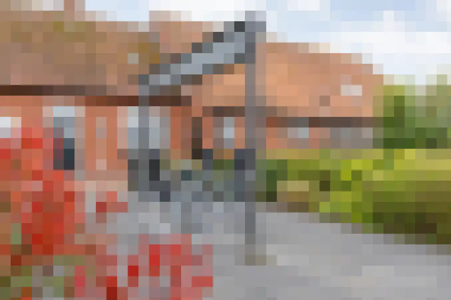 Rheezerweg 129 Diffelen thumbnail 9