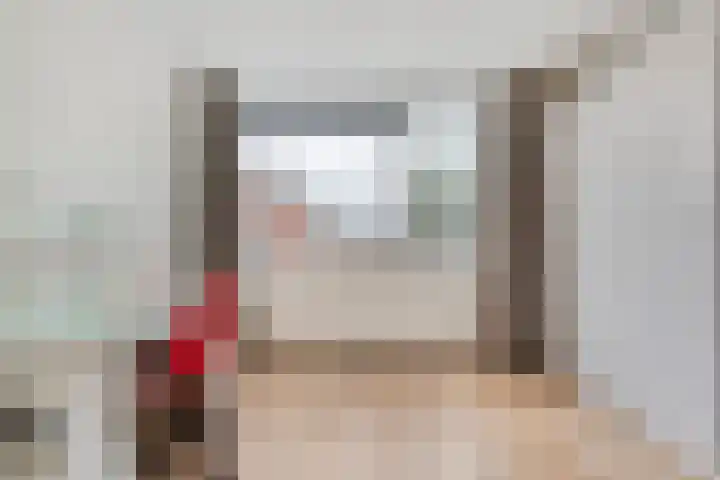 Rheezerweg 33 Hardenberg thumbnail 31