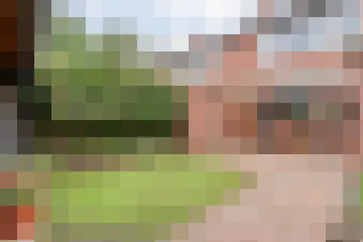 Rheezerweg 33 Hardenberg thumbnail 39