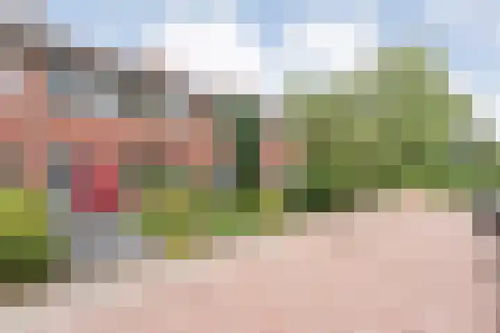 Rheezerweg 33 Hardenberg thumbnail 4