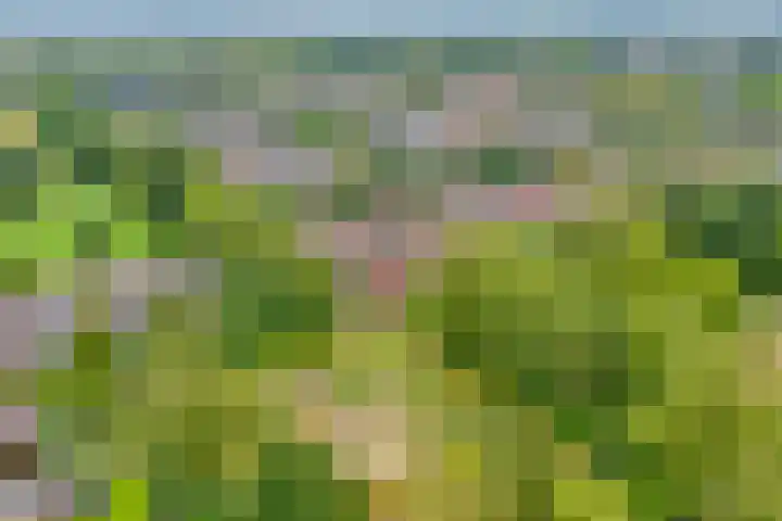 Rheezerweg 33 Hardenberg thumbnail 44