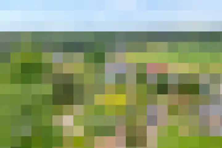 Rheezerweg 33 Hardenberg thumbnail 45
