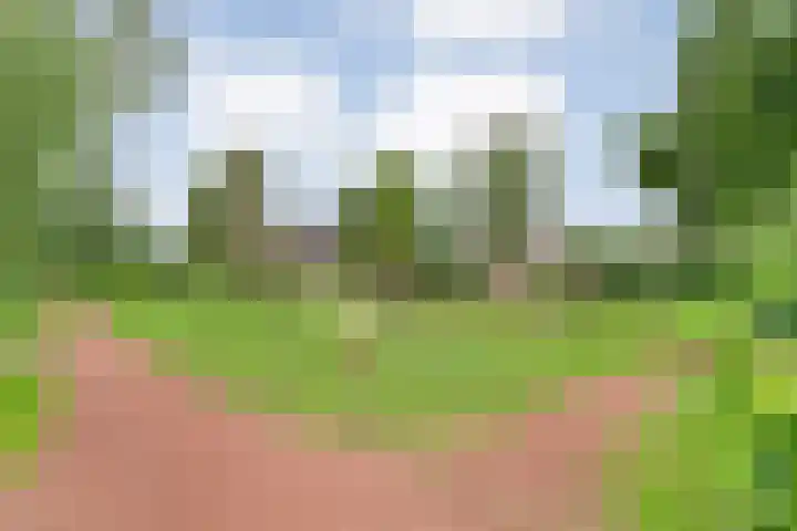 Rheezerweg 33 Hardenberg thumbnail 46