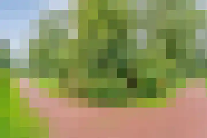 Rheezerweg 33 Hardenberg thumbnail 47