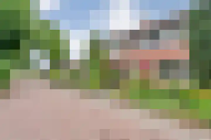 Rheezerweg 33 Hardenberg thumbnail 5