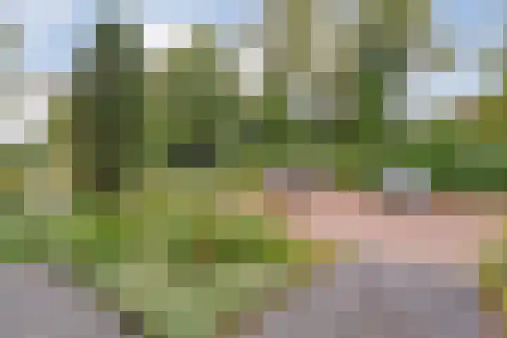 Rheezerweg 33 Hardenberg thumbnail 6