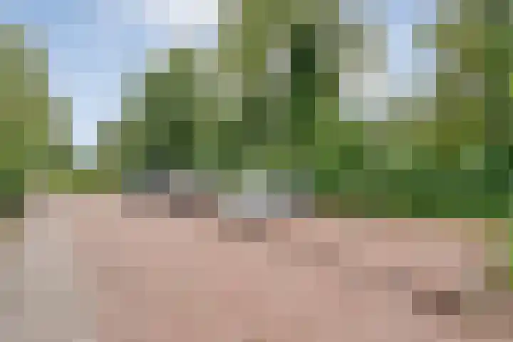 Rheezerweg 33 Hardenberg thumbnail 7