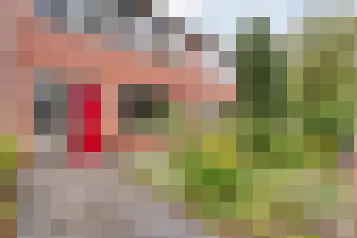 Rheezerweg 33 Hardenberg thumbnail 8