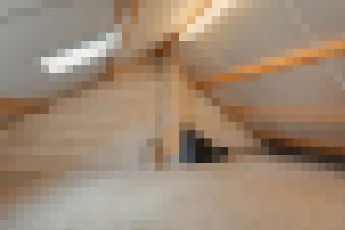 Rheezerweg 43 Hardenberg thumbnail 36