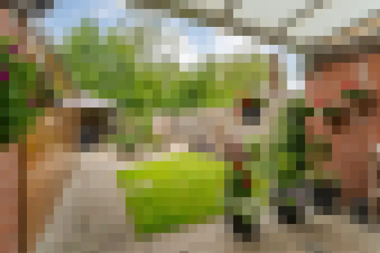 Rheezerweg 43 Hardenberg thumbnail 38