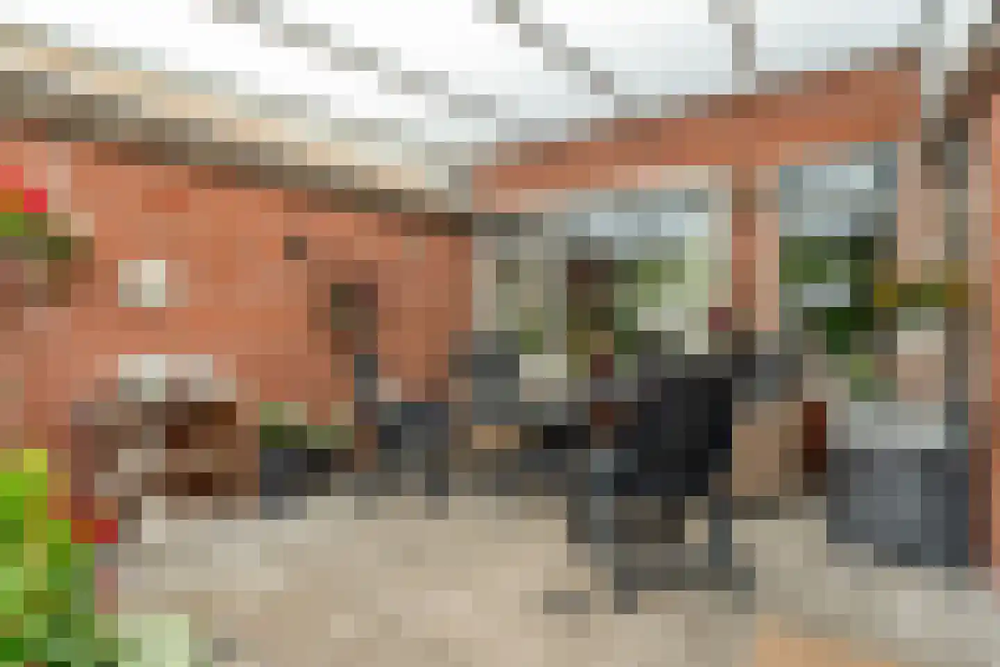 Rheezerweg 43 Hardenberg thumbnail 39
