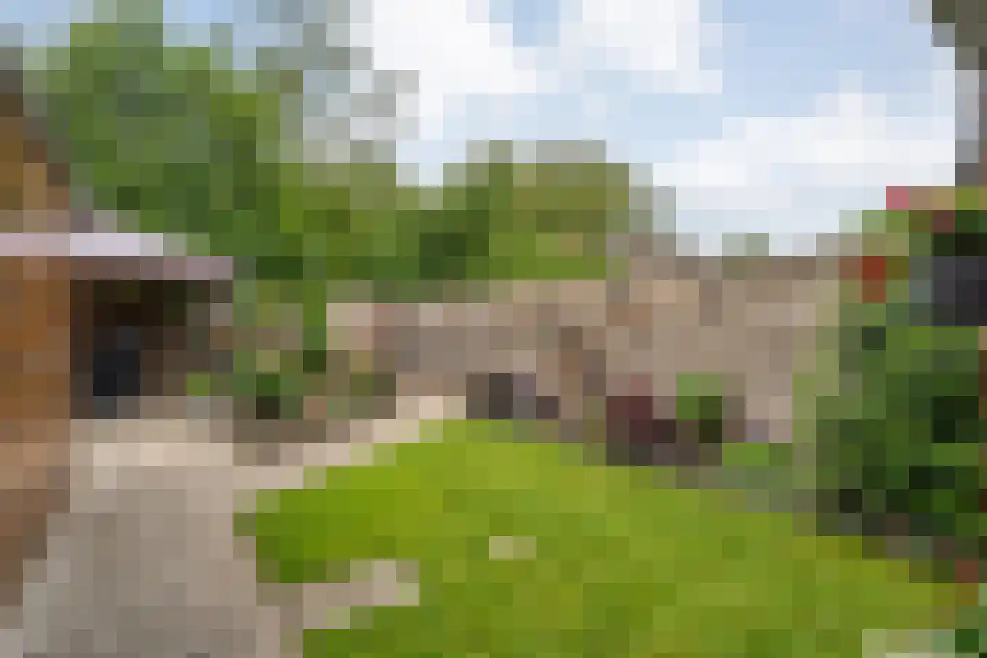 Rheezerweg 43 Hardenberg thumbnail 41