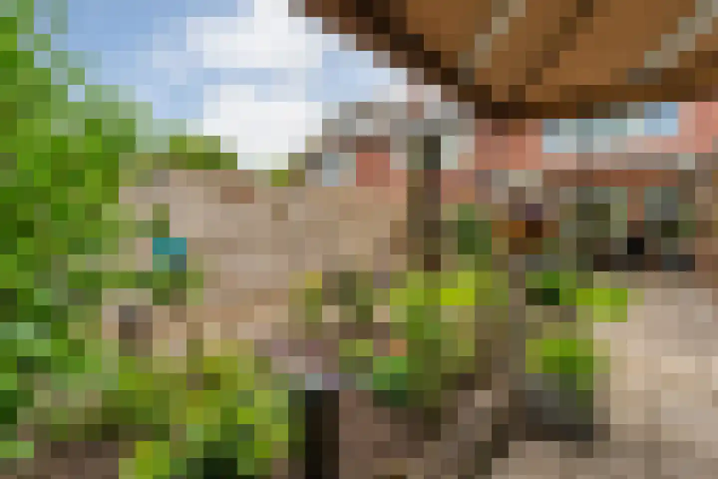 Rheezerweg 43 Hardenberg thumbnail 45