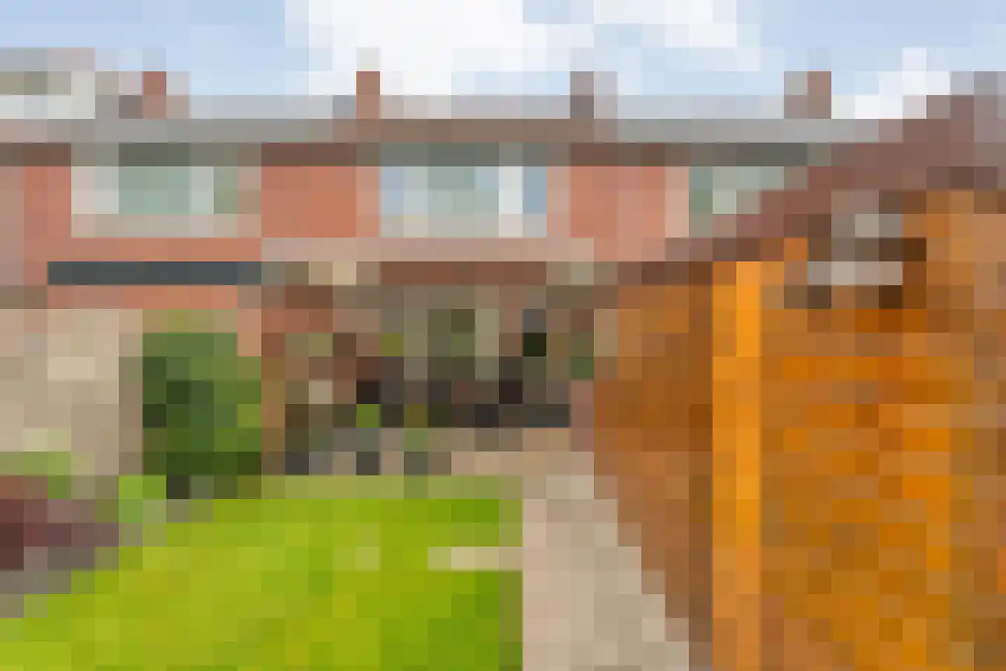 Rheezerweg 43 Hardenberg thumbnail 46