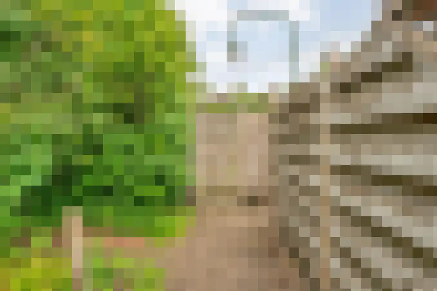 Rheezerweg 43 Hardenberg thumbnail 47