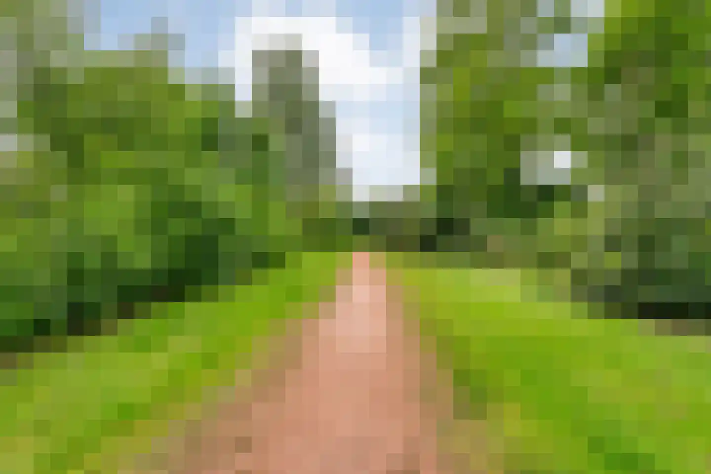Rheezerweg 43 Hardenberg thumbnail 48