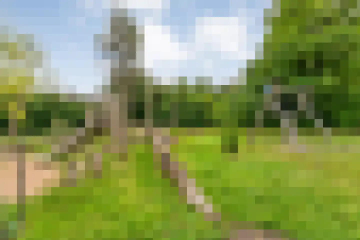 Rheezerweg 43 Hardenberg thumbnail 49