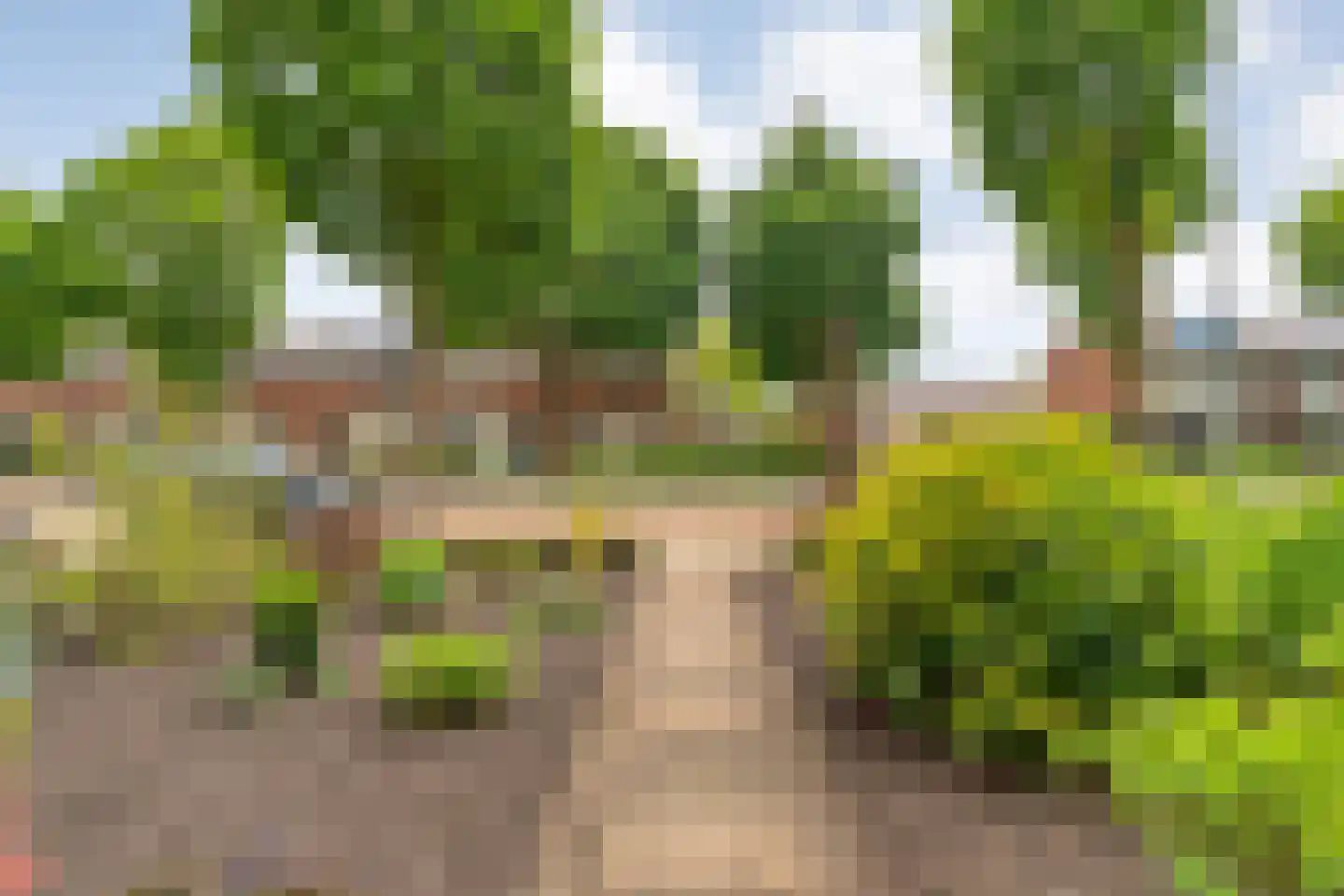 Rheezerweg 43 Hardenberg thumbnail 5