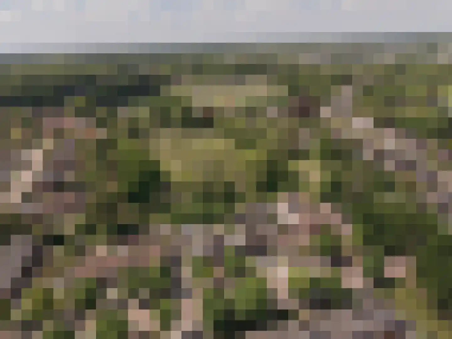 Rheezerweg 43 Hardenberg thumbnail 52