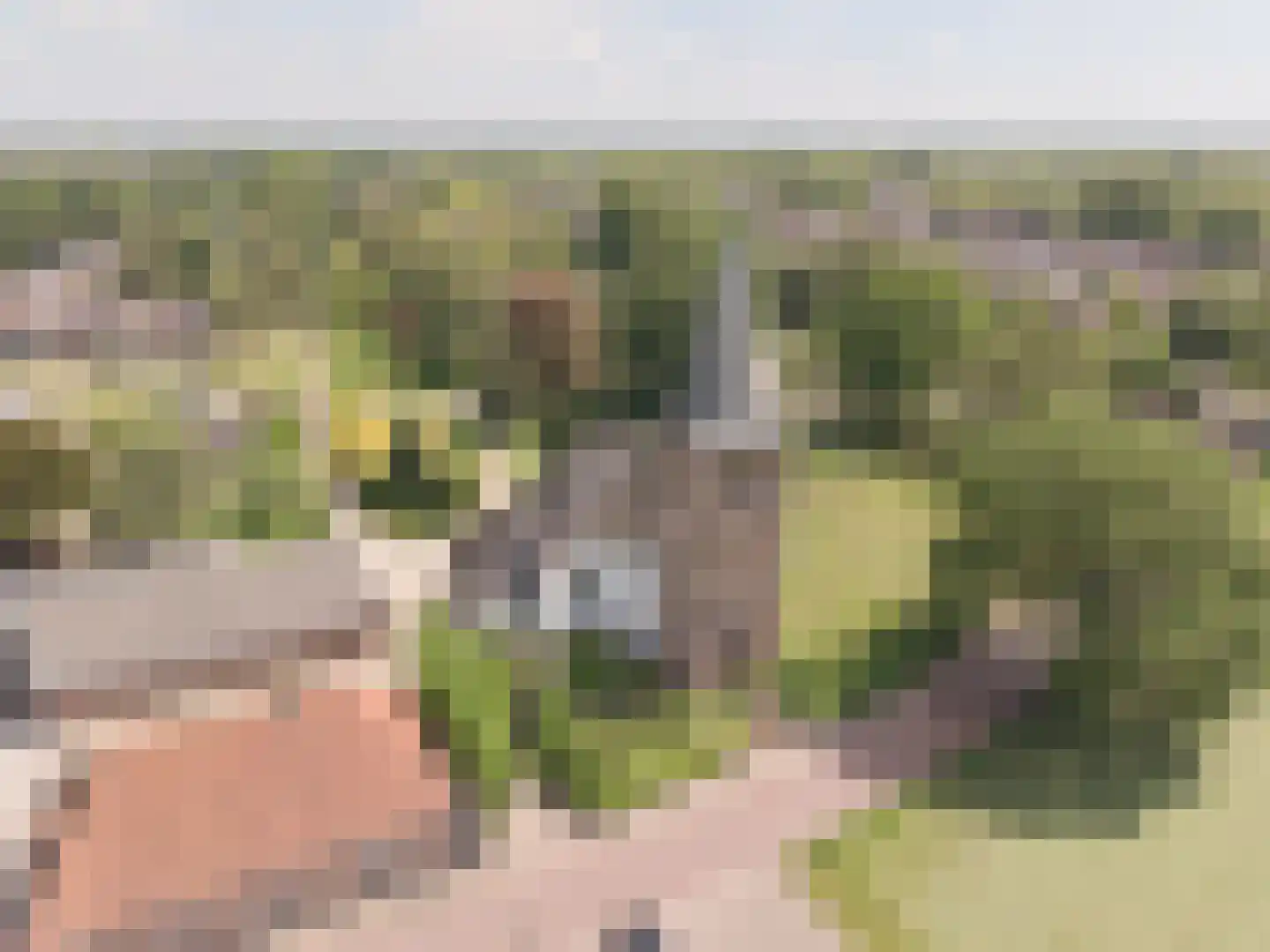 Rheezerweg 43 Hardenberg thumbnail 53